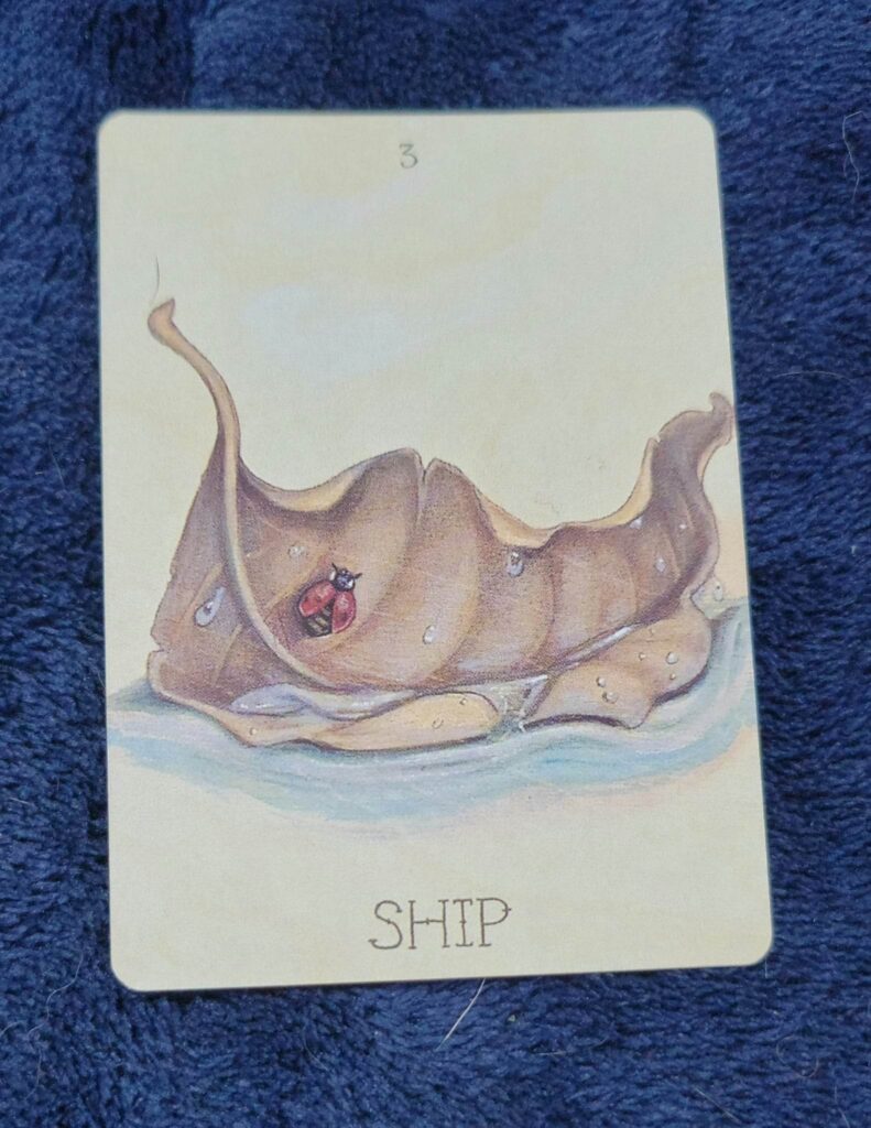 Lenormand card, ship