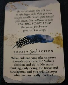Soul Truth Self-Awareness Cards, What Risk Can I Take Today?, back side of card