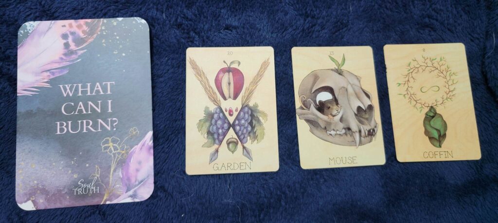 Lenormand cards, garden, mouse, coffin, and oracle card