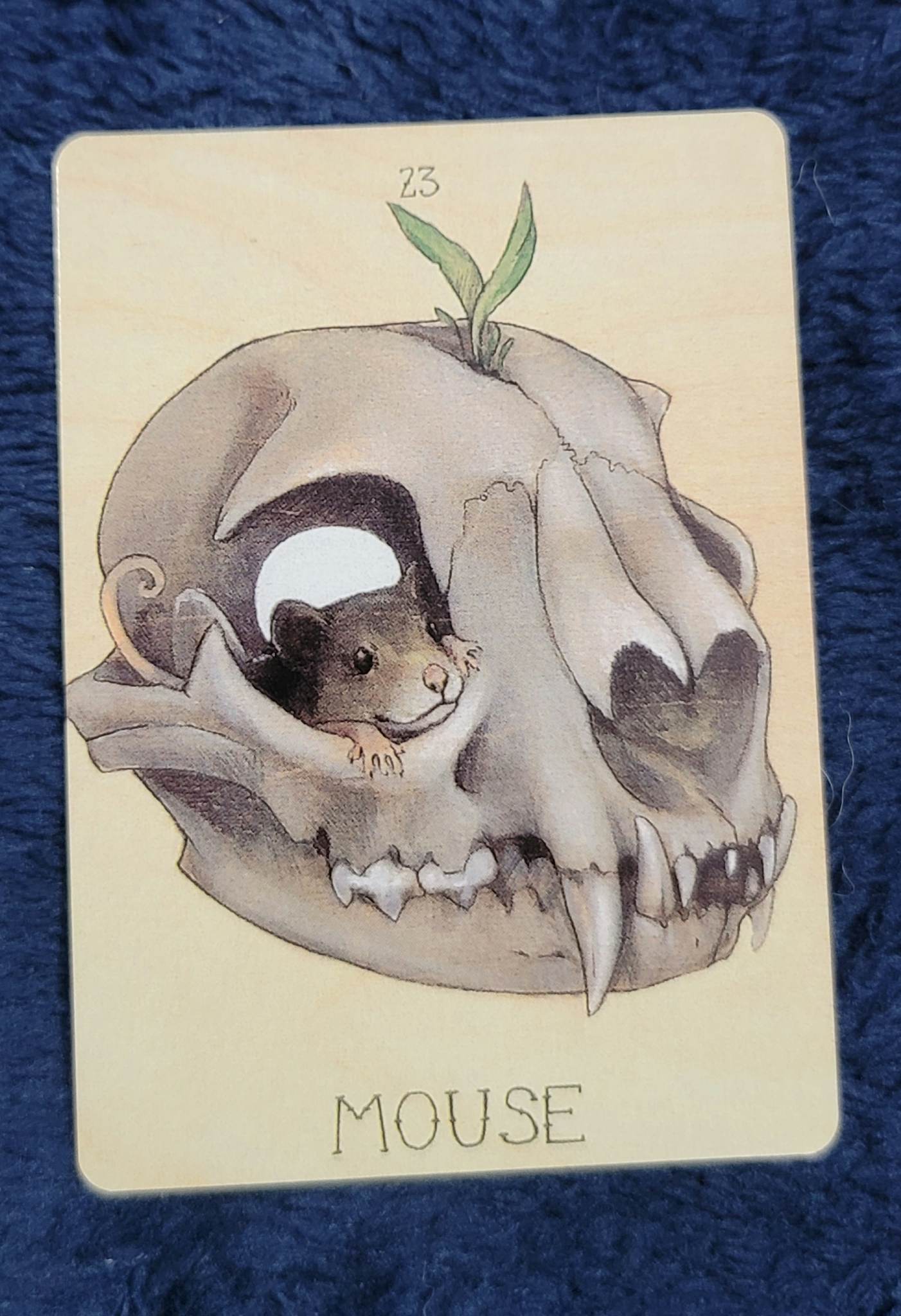 Lenormand card, mouse