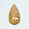 Fossilized Coral Cabochons - Image 12