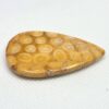 Fossilized Coral Cabochons - Image 14