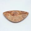 Fossilized Coral Cabochons - Image 5