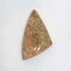 Fossilized Coral Cabochons - Image 6