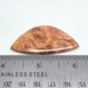 Fossilized Coral Cabochons - Image 7