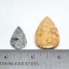 Fossilized Coral Cabochons - Image 2