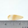 Yellow Agate Cabochon - Image 5