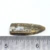 Ocean Jasper Cabochon - Image 5