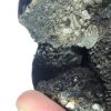 Septarian Drusy Carvings - Image 13