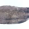 Brandberg Amethyst Specimen - Image 18