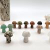 Mini Mushroom Carvings - Image 21