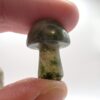 Mini Mushroom Carvings - Image 14