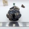 Volcano Agate Owl - Image 6