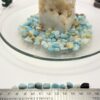 Caribbean Calcite Chips - Image 4