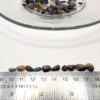 Pietersite Chips - Image 3