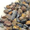 Pietersite Chips