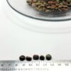 Unakite Chips - Image 5