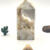 Otodus Shark Tooth Fossil
