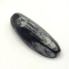 Orthoceras Fossils - Image 6