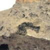 Herkimer Diamond in Matrix Specimen - Image 7