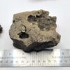 Herkimer Diamond in Matrix Specimen - Image 4