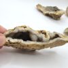 Herkimer Drusy Geode