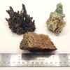 Agatized Petrified Wood - Image 4