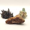 Agatized Petrified Wood - Image 6