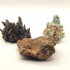 Agatized Petrified Wood