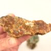 Agatized Petrified Wood - Image 3