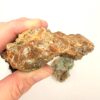 Agatized Petrified Wood - Image 5