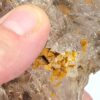 Raw Clear Quartz Chunk - Image 6