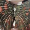 Plum Blossom Jasper Butterfly - Image 4