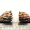 Mookaite Dragon Heads - Image 2