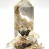Dalmatian Jasper Dinosaur - Image 4