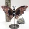 Crazy Lace Agate Butterfly