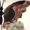 Crazy Lace Agate Butterfly - Image 4
