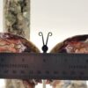 Crazy Lace Agate Butterfly - Image 5