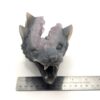Amethyst Wolf Head - Image 4