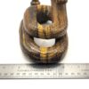 Tiger Eye Rattlesnake - Image 5