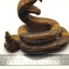 Tiger Eye Rattlesnake - Image 6