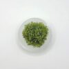 Satin Spar Bowls - Image 19