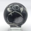 Shell Jasper Spheres - Image 5