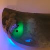 Volcano Agate Moons - Image 3