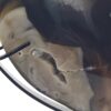 Volcano Agate Moons - Image 76