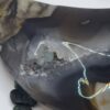 Volcano Agate Moons - Image 78