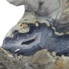 Volcano Agate Horse - Image 9