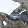 Volcano Agate Horse - Image 8