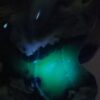 Volcano Agate Horse - Image 24