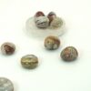 Crazy Lace Agate Tumbles - Image 6